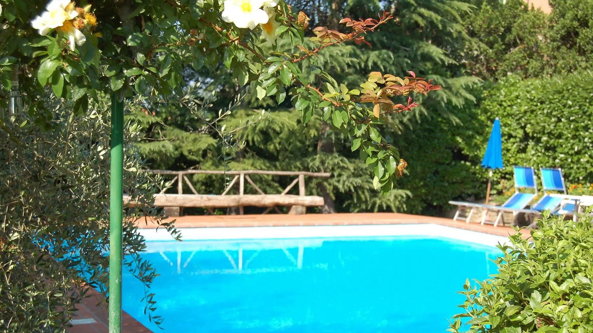 Hotel Colle Etrusco Salivolpi Castellina in Chianti Ιταλία